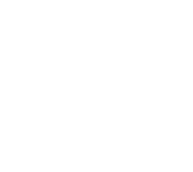 Avian Logo